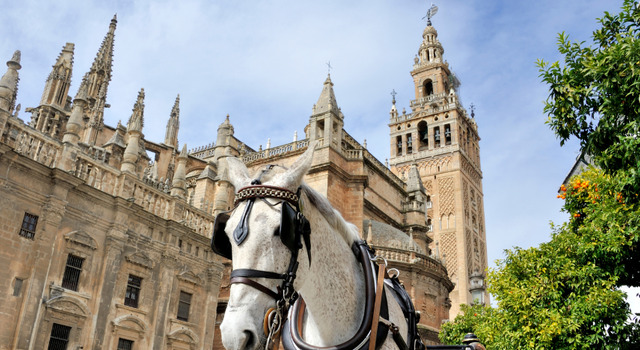 Sevilla a tu aire  3