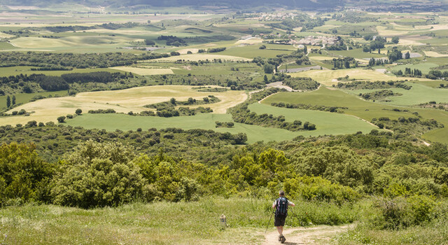Santiago de Compostela a tu aire  5