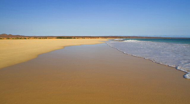 Estancias en Isla de Sal (Newblue) 3