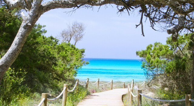 Estancia en Formentera 2