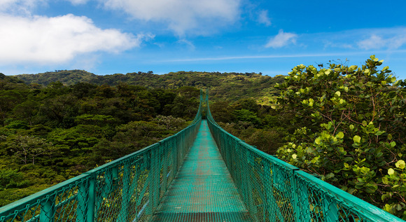 Bosques m�sticos de Costa Rica