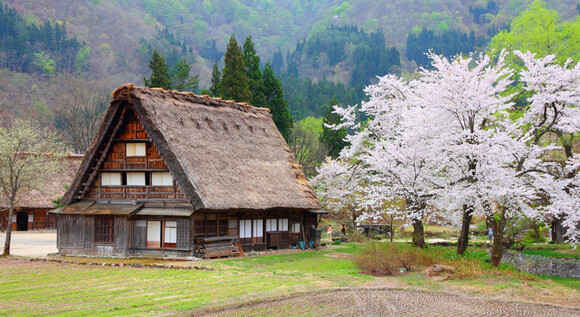 Jap�n Shogun y Bali