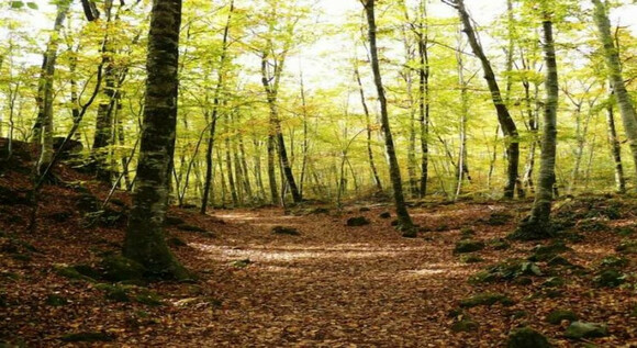 Escapada de Senderismo en el Corazon de la Alta Garrotxa