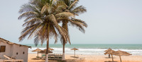 Esencias de Gambia