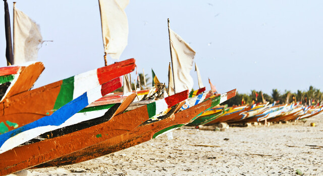 Gambia 8 d�as 5