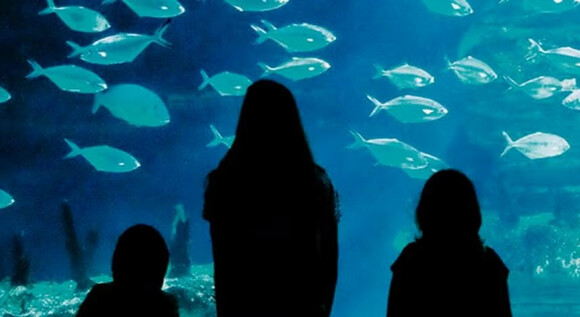 Oceanografic y Ciudad de las Artes: Una Experiencia Unica