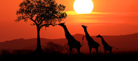 Leyendas de Sud�frica