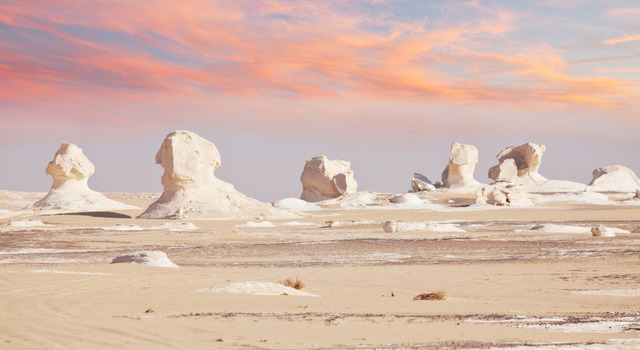 Egipto Cl�sico Desierto y Oasis 2