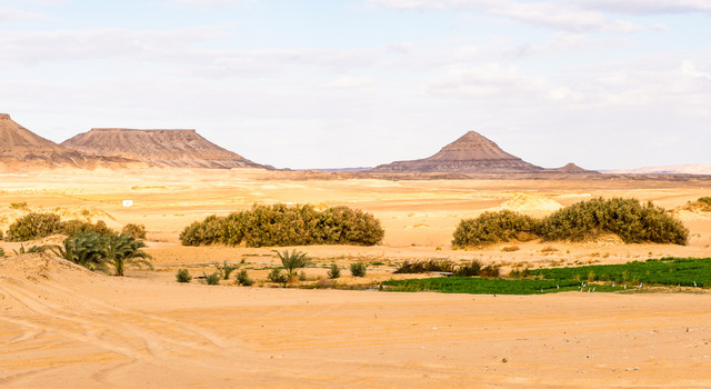 Egipto Cl�sico Desierto y Oasis 5