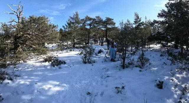 Escapada Perfecta: Raquetas de Nieve e Iglu en Navacerrada 2