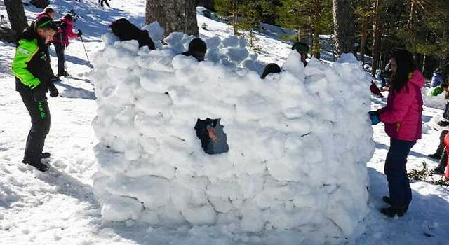 Escapada Perfecta: Raquetas de Nieve e Iglu en Navacerrada 3