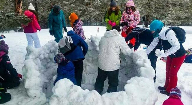 Escapada Perfecta: Raquetas de Nieve e Iglu en Navacerrada 4