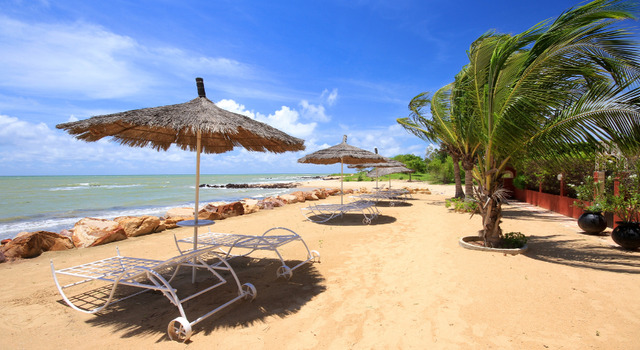 Descubre Saly 4