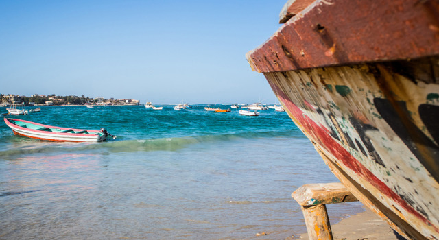 Descubre Saly 5