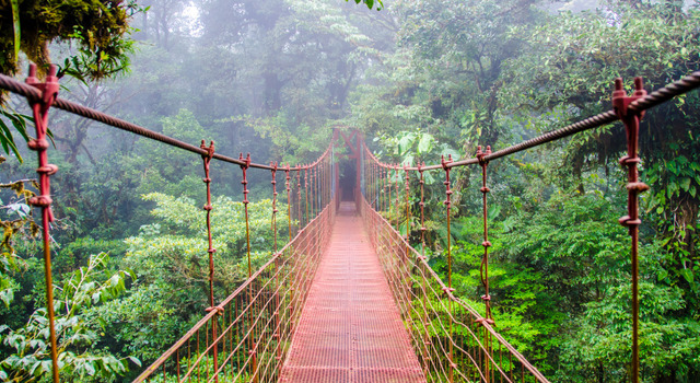 Contrastes de Costa Rica 5