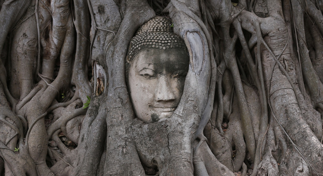 Circuito Descubre Bangkok con Iberojet 5