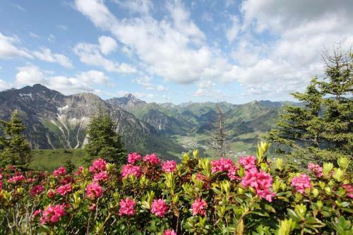 Hostal Haus Alpenecho