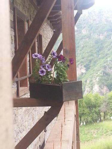 Agroturismo Guest House Vesko & Suzi
