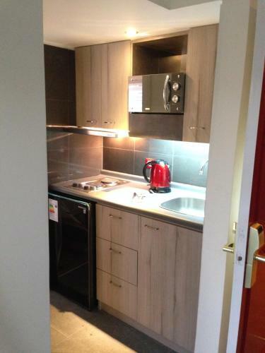 Apartamento Estudio Providencia Lf