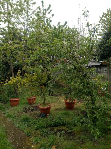 Hostal Valdivia