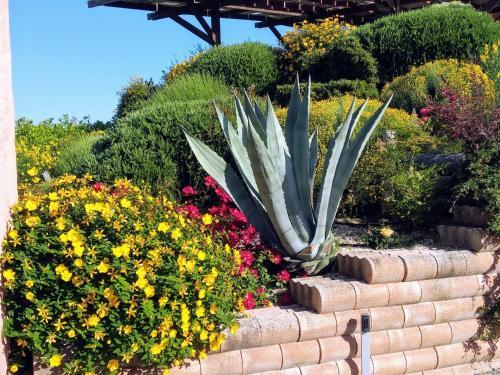 Bed & Breakfast Airone Country House