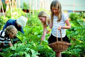 Hotel Grecotel Creta Palace