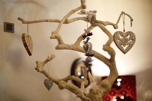 Dv Chalet Boutique Hotel & Spa