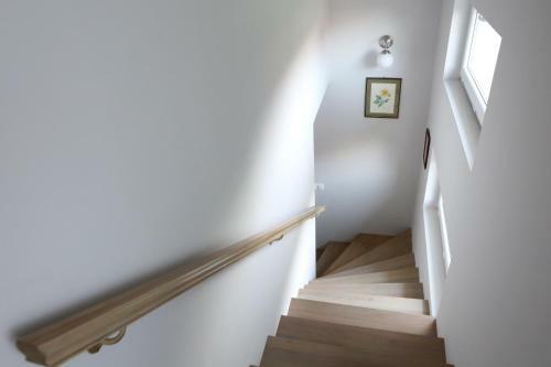 Hostal Pastel Guesthouse