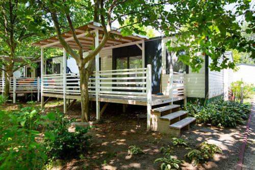 Pelso Camping