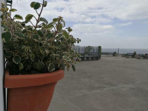 Albergue Ostello Per La Giovent� Genova