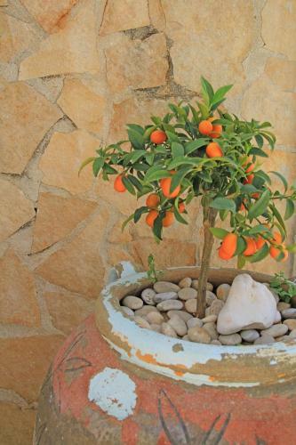 Apartamento Centro Vacanze Piccolo Friuli