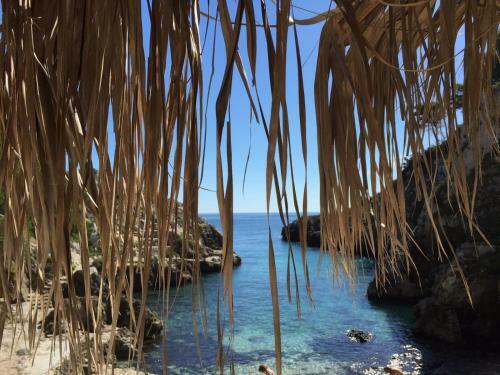 Hostal Trapetum-salento Domus