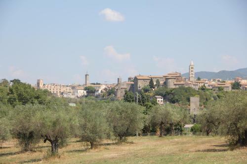 La Fattoria Barbini B&B