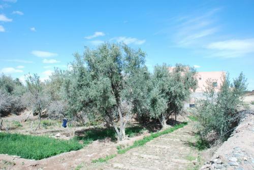 Agroturismo Dar Diafa