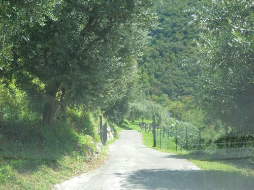 Agroturismo Agriturismo Cascina Lert