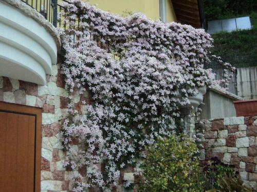 Apartamento Villa Gardenia Molveno