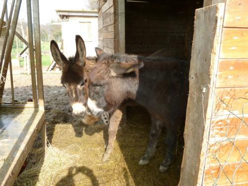 Bed & Breakfast Le Camere Di Virgilio