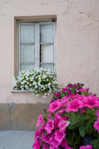Bed & Breakfast Ai Girasoli