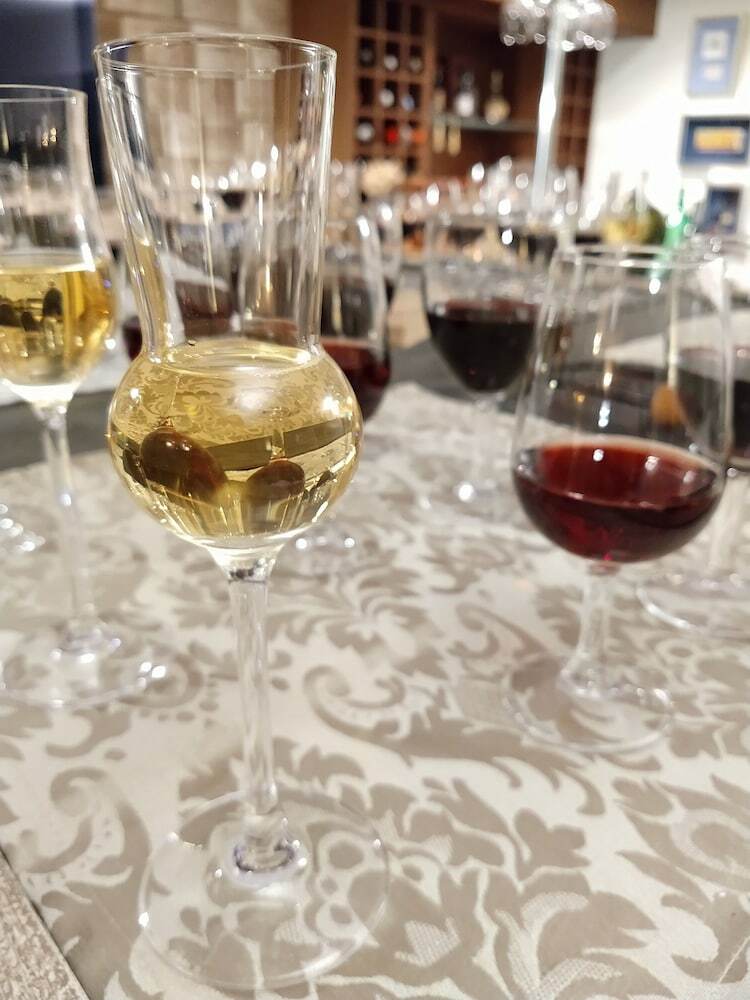 Hotel Luxury Guest House_opus One