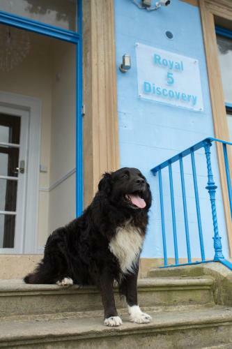 Bed & Breakfast Royal Discovery