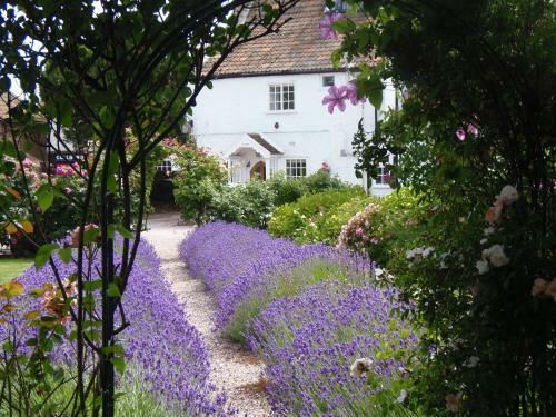 Hostal The Old House Cottages