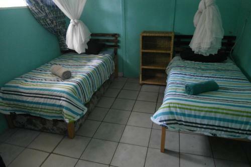 Wanderers Backpackers And Campsite