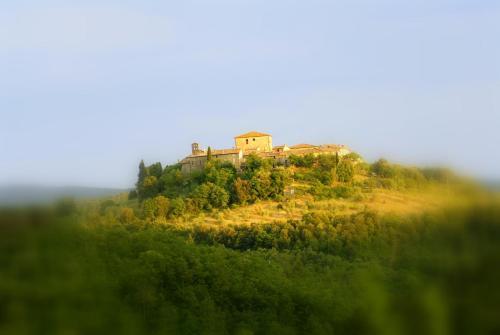 Residencia Bosco Della Spina - Apartment