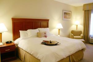 Hotel Hampton Inn & Suites Reno Nv