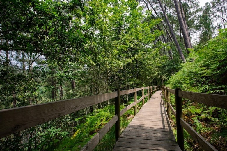 Monte Prado Hotel & Spa