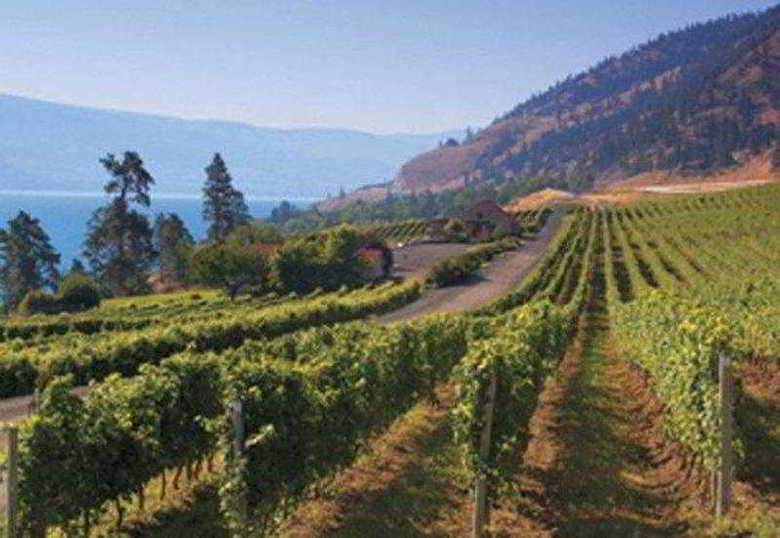 Best Western Wine Country Hotel & Suites