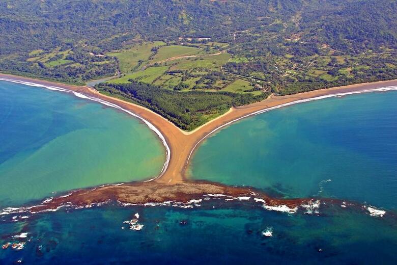 Hotel Cristal Ballena Resort