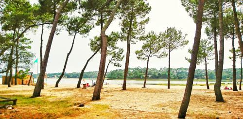 Aparthotel R�sidence H�teli�re Les Acanthes