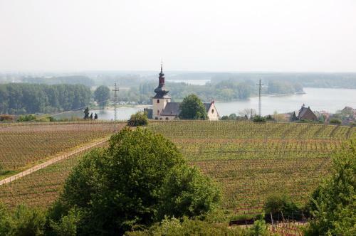 Best Western Wein- Und Parkhotel