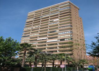Apartamentos Paraiso Centro